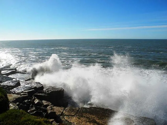 Proyecto Mitzuoda