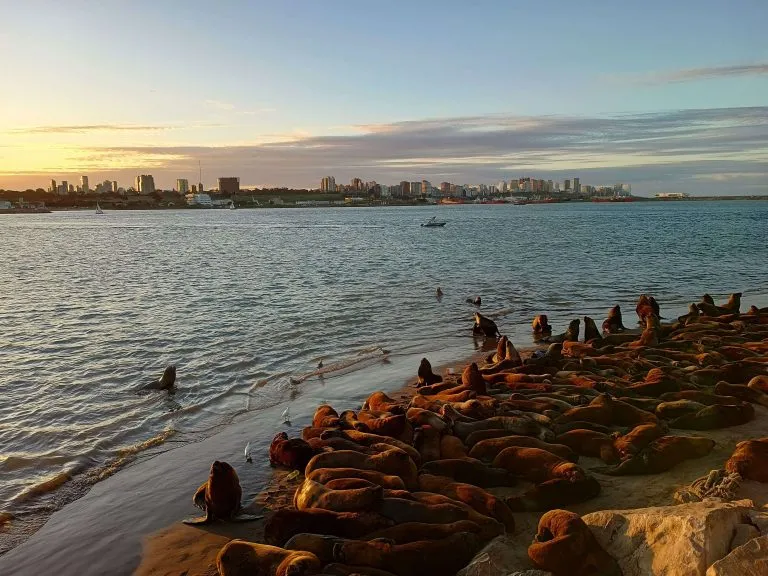 Mar del Plata, entre la ciudad real y la ciudad ideal