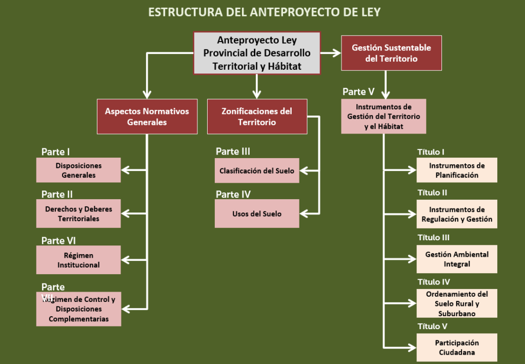 imagen 11